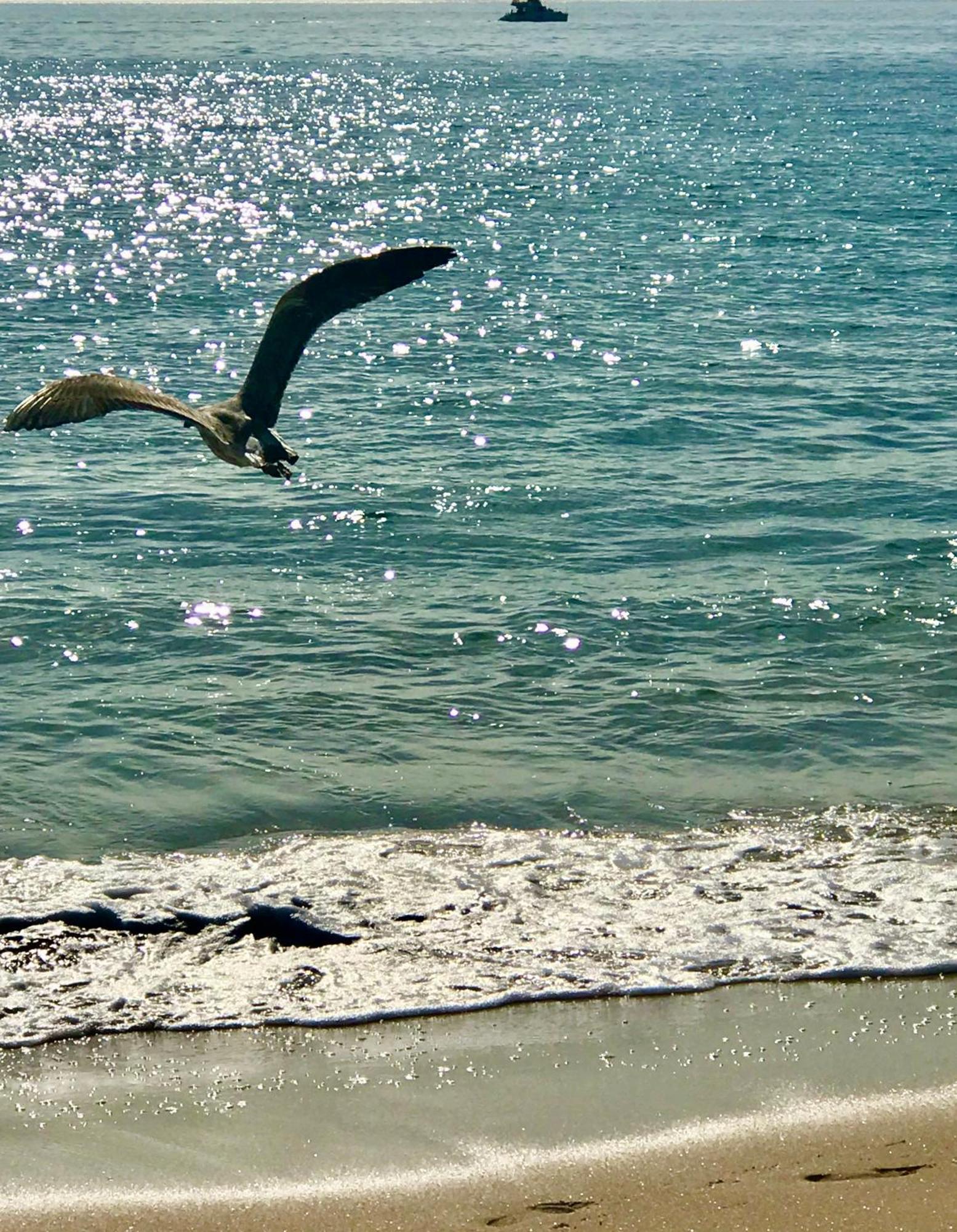 Atlantic Waves Accommodation كاركافيلو المظهر الخارجي الصورة